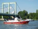 Motor Segelboot mit Motorschaden trieb gegen Alte Liebe bei Koeln Rodenkirchen P075